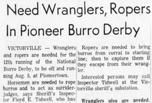 Pioneer Burro Derby featured image