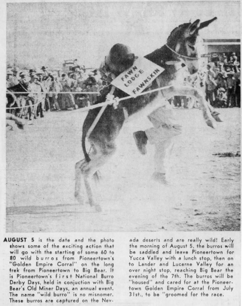 July 24, 1965 - The Desert Sun article clipping