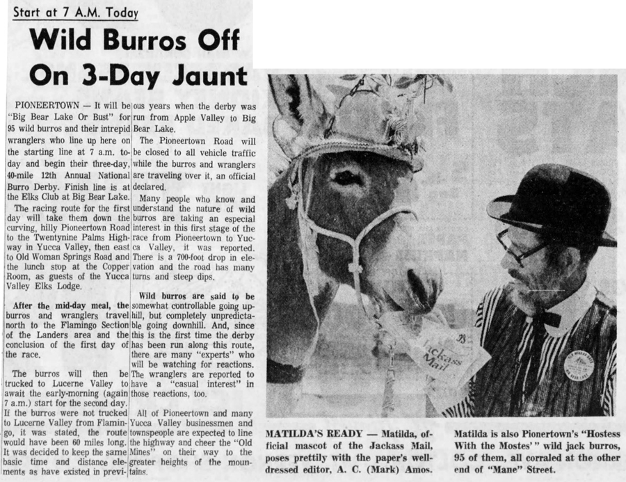 burro race artcile clipping